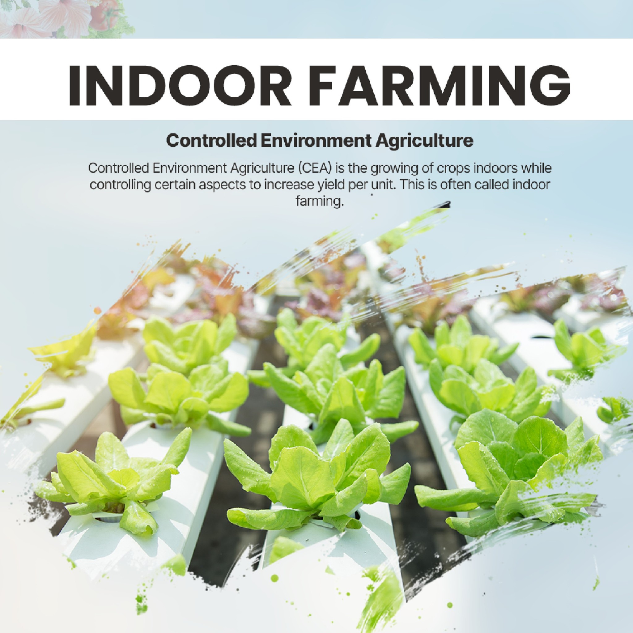 Urban farming takes center stage at Pagsibol 2025 Summit.