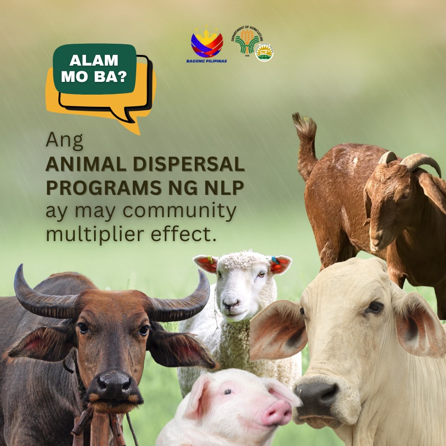 DA Livestock Dispersal Program Expands Farm Livelihoods.